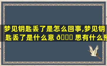 梦见钥匙丢了是怎么回事,梦见钥匙丢了是什么意 🐛 思有什么预兆